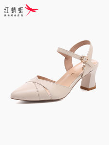 Reddragonfly | Pointed Closed-Toe Coarse Heel Leather Womens Dress Shoes