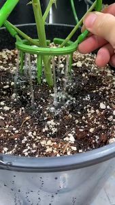 Grow Smart Drip Ring วงแหวนรดน้ำ เสริมความสามารถ หรือวงแหวนน้ำหยด irrigation drip ring Hydroponic dripper