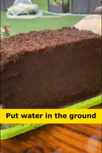 Imported Natural Cocopeat Block For Plants And Crops nutrient soil high-quality Coconut brick