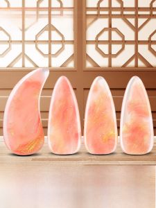 Professional Guzheng Nail Strips Double Arc Design for Beginners And Adults High Performance Storage Included