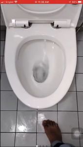 Midas x sgPlumbMart Geberit Tornado Flush 1-Piece Toilet Bowl One Piece WC 3010 Water Closet S Trap Close Coupled Toilet Bidet Toilet Seat Bidet Toilet Bemis - Lazada