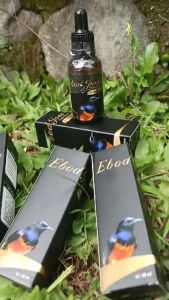 Ebod Joss Premium Penggacor Burung: Suara Menggacor Maksimal Siap Juara!