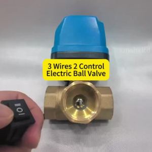 Van Bi Bằng Đồng Có Động Cơ 2/3 Chiều Điều Khiển Điện AC220V/DC12V-24V Điều Khiển Nước Áp Suất Cao Để Bảo Vệ Môi Trường