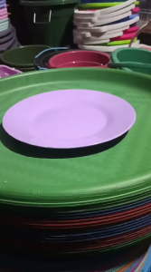 ( isi 1 pcs ) Piring Ceper MD Makan Prasmanan Plastik