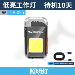 Multi-Functional High-Intensity Lighting Keychain Lighter Work Lamp Long Battery Life Waterproof Outdoor Camping Travel Torch