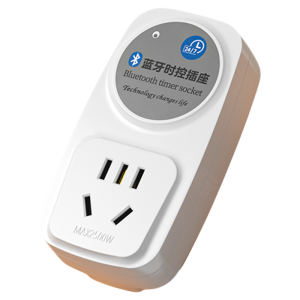 Timing Controller Outlet 220V