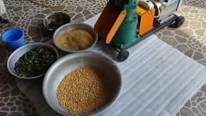 Máy ép cám 3 quả lô sử dụng động cơ 35kw vòng tua 1400v/p