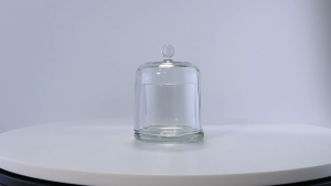 Glass Cloche Dome Bell Jar Display Case for Small Desserts Collectibles