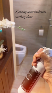 Toilet Spray Before-You-Go | Eliminates Bad Odor instantly | Long-Lasting Fresh Bathroom Scent