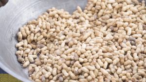 Wah Thai Peanut Cake 110g - 花生貢糖饼