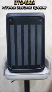 BTS-1809 Double DJ singing speaker color LED charging party karaoke speaker With rechargeable mic
