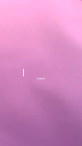 Payet Diamond Tempel Bentuk Daun Per-5 Gram