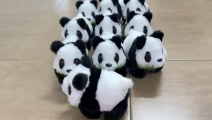 Auto Plush Panda Toys Plush Electric Panda Toys