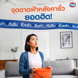 TOA 201 ROOFSEAL รูฟซีล พียู ไฮบริด สีกันซึม กันน้ำเข้าได้ 100% สำหรับดาดฟ้า หลังคา (20 กก.)