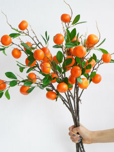 Trang Trí Hoa Quả Táo Giả Hiện Đại Đồ Trang Trí Nhà Cửa Đồ Trang Trí Phòng Khách Đồ Trang Trí Nhà Trọ Đồ Trang Trí Treo Tường Đồ Trang Trí Treo Giỏ