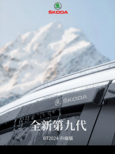 HANNENGDA | Rain Guard for Car Window Rain Visor