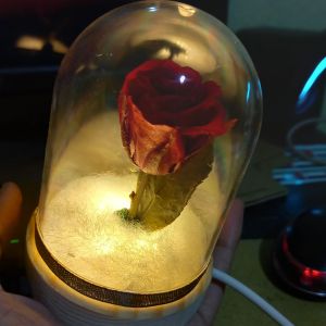 lampu mawar asli beauty and the beast free ucaoan