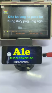 USB FLASHDRIVE WITH OFFLINE KARAOKE SONGS/MUSIC 5000 FILES HIGH QUALITY