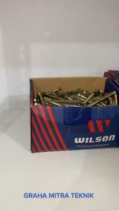 Dynabolt Wilson 8X65 Baut Beton Murah Dan Kuat isi 250pcs per box