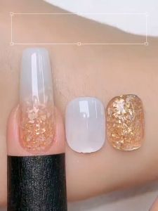 Ready Stock GAOY Ice Transparent Color Aurora Shell Mica Gel Nail Polish Glitter Nail Gel Nail Art 新款美甲极光贝壳云母胶罐装甲油胶爆闪亮片指甲胶