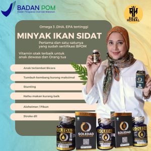 minyak ikan sidat isi nya 60 kapsul lunak (SOFTGEL)