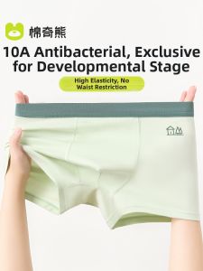 MIANQIXIONG | Cotton Class A Boys Underwear Boxer Shorts