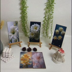 HIASAN DINDING BUNGA REALISTIK MINIMALIS (10x20) nuansa abstrak flowers minimalis hiasan dan pajangan rumah aesthetic kekinian
