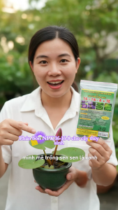 Phân Bón Cho Sen Súng & Cây Ngập Nước 16-16-8+TE (Gói 24 Viên Nén) - Siêu Kích Hoa Quanh Năm Lá Xanh Dày Không Làm Đục Nước Chết Cá.
