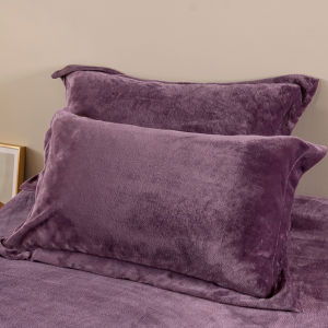 Thickened Milk Velvet Pillowcase Pair for Winter Single Person Dormitory Pillow Core Cover 48x74cm Coral Fleece Polyester