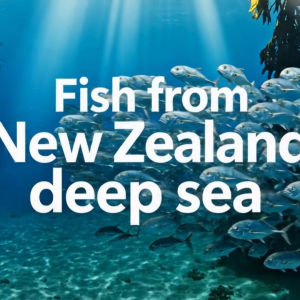 MIHIJO Dog Skin Coat & Nails 60 Chews Approx. (EXP:1 2027)