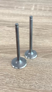 วาล์วไอดี + วาล์วไอเสีย (1ชุดได้2ชิ้น) GPX DEMON GR200R รุ่น2V จีพีเอ็กซ์ เดม่อน จีอาร์200อาร์ วาล์วไอดี1+ไอเสีย1 Gpx demon 200