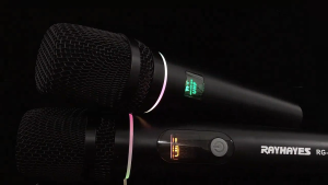 RAYHAYES Mikrofon Nirkabel Profesional UHF Mikrofon Dinamis Nirkabel Isi Ulang untuk Karaoke