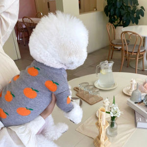 Pet Autumn and Winter Clothing Cat Knit sweater Bomei VIP Dog Small Puppy Chenari Teddy Bichon Clothes