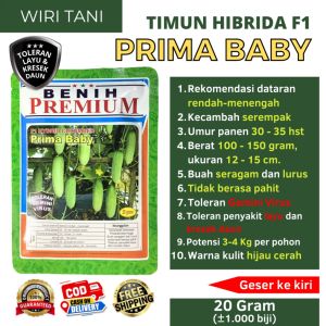 [COD] Benih Timun Kecil Hibrida F1 PRIMA BABY 20 gram (±1.000 biji) Toleran Virus & Kresek Daun dari Benih Premium | Bibit Ketimun Kecil | Biji Mentimun Hijau Cerah | Timun semi | Ketimun mini |Timun model