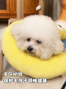 หมอนสัตว์เลี้ยง หมอนแมว หมอนลูกสุนัข ซักทําความสะอาดได้ ถอดออกได้ หมอนรองคาง ผ้าฝ้าย รูปเครื่องหมายคำถาม รูปตัว ป้องกันกระดูกสันหลังส่วนคอ ส่งของในไทย