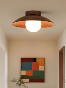 DGY | Retro Vintage Simplicity Ceiling Light