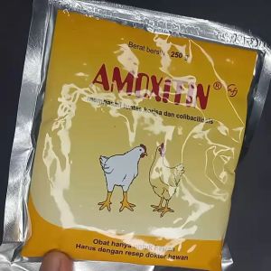 Amoxitin 250 gr Obat Ayam Korisa dan Colibacillosis