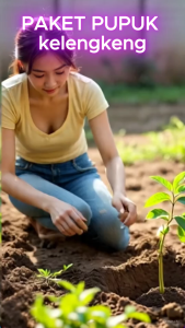 PAKET POC + ZEPETE KHUSUS KELENGKENG | pupuk pelebat buah kelengkeng anti rontok / pupuk kelengkeng