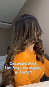 Catokan Rambut - Pelurus Rambut Kering & Basah - Hair Straightener Wet & Dry HELES HARNIC HL 717