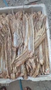 Khô Cá Chình Mỡ Loại 1 Đặc Biệt Thơm Nogn Nức- Đặc Sản Minh Triết