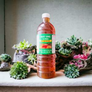 Combo 5 lít mật ong cà phê ĐẮK Lắk nguyên chất 100%