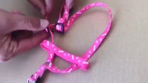 Tali Tuntun Hewan Kucing Anjing Motif Bentuk Y Aksesoris Hewan Tali Tuntun Penuntun Jalan Hewan Kecil Murah Serbaguna Kuat Bahan Nilon