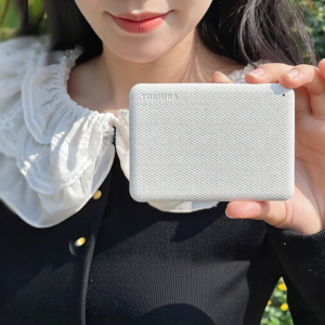 ฮาร์ดดิสก์ภายนอกความจุสูงแบบเข้ารหัส