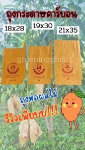 ถุงกระดาษคาร์บอน ขนาด19x30ซม. (จํานวน 50 ใบ)