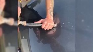 🔶【120MLRepair heavy scratches】Remove scratches from cars and motorcycles in three seconds rubbing compound scratch remover for motorcycle scratch remover for car car scratch remover original car scratch remover/Scratch Remover
