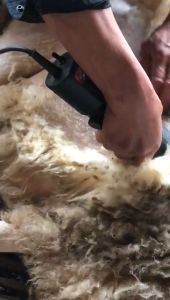 Mesin Cukur Bulu - Alat Cukur Bulu - Alat Potong Bulu Kambing/Kuda/Sheep/Domba