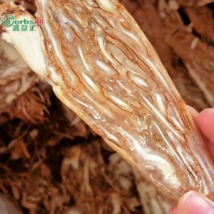 angelica sinensis  slice root 当归 當歸 片100g 當歸片全片 當歸 頭片 当归片 dang gui/当归头 大甜当归  当归碎