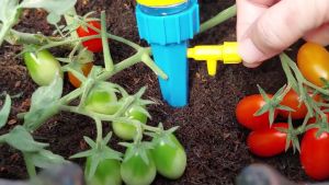 TUTU ALAT TETES TANAMAN OTOMATIS / ALAT SIRAM TANAMAN / KRAN TAMAN / IRIGASI KEBUN TETES TANAMAN OTOMATIS ALAT SIRAM TANAMAN KRAN TETES TAMAN INFUS TANAMAN BOTOL IRIGASI TETES KERAN PUTAR OTOMASTIS - WATER CONE IRIGATION DRIP SIRAM TANAMAN OTOMATIS
