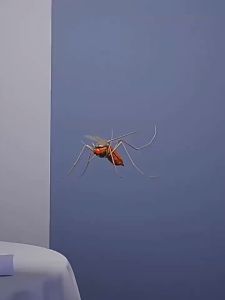 Đèn đuổi muỗi đuổi côn trùng thông minh an toàn và hiệu quả cho mọi gia đình 4W 6W 8W 10W.