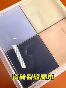 Waterproof Agent Toilet Bathroom 300g Anti-Leak Glue Strong Bonding Adhesive Sealant Invisible Glue Repair Tools Coating
